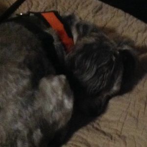 Meet your Posher, Meg